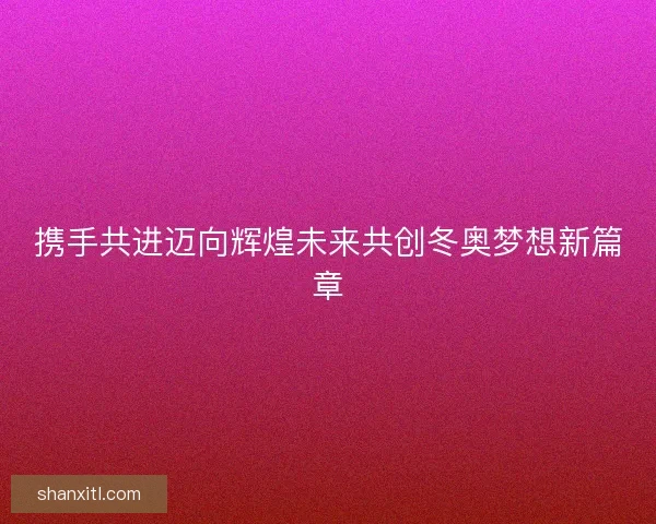 携手共进迈向辉煌未来共创冬奥梦想新篇章