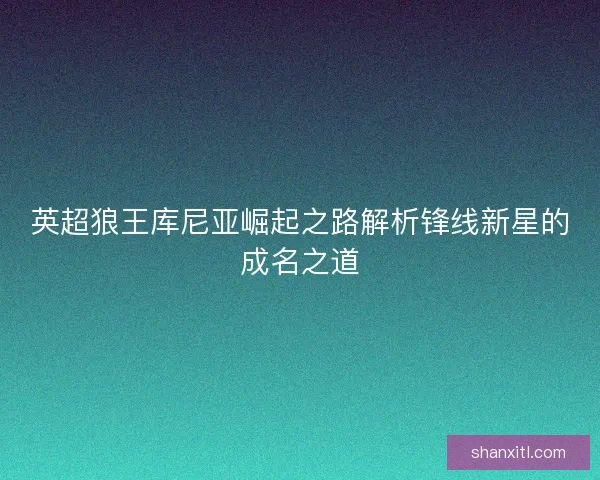 英超狼王库尼亚崛起之路解析锋线新星的成名之道